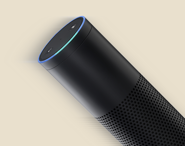 alexa google assistant